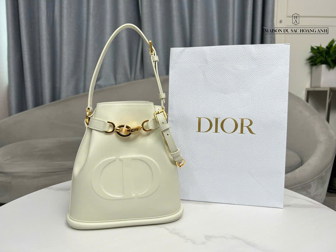 TÚI DIOR C'EST MEDIUM