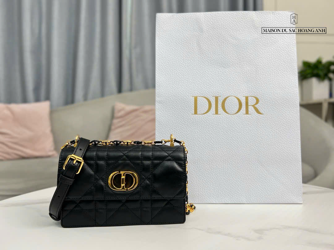 Túi Dior Small Caro Bag