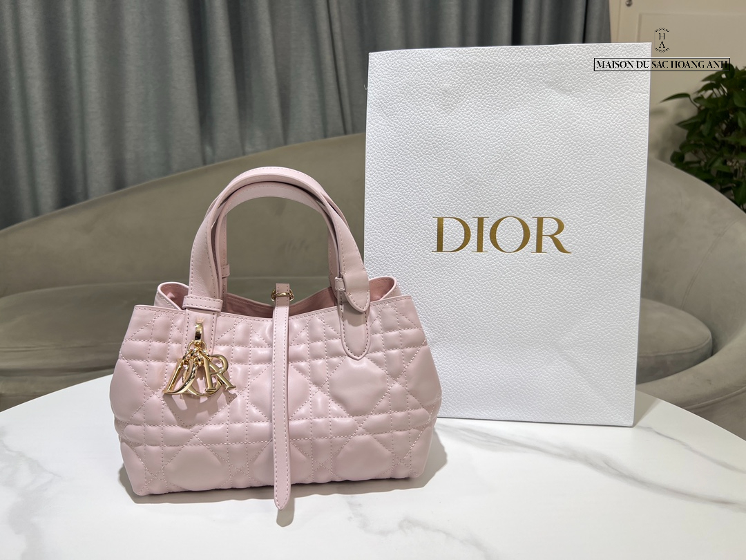 Túi Dior Toujours Bag