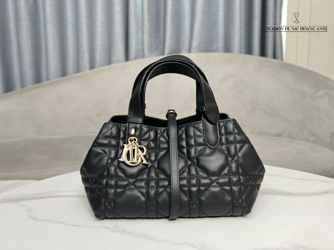 Túi Dior Toujours Bag