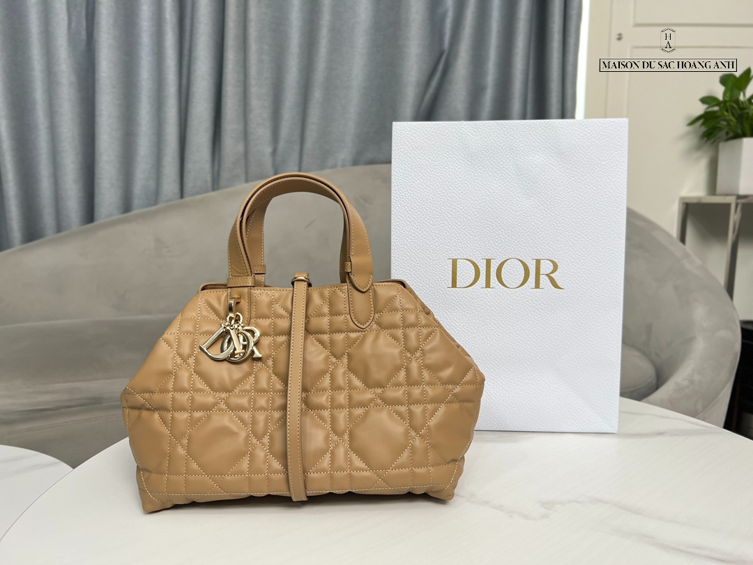 Túi Dior Toujours Bag