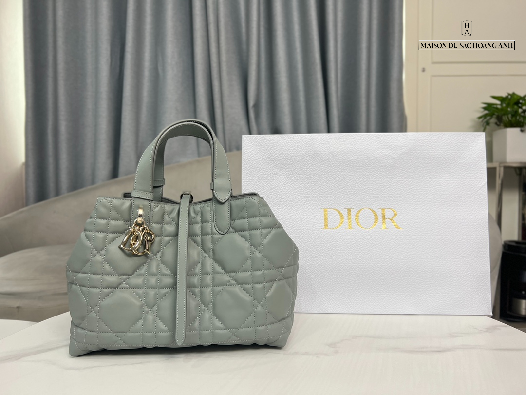 Túi Dior Toujours Bag