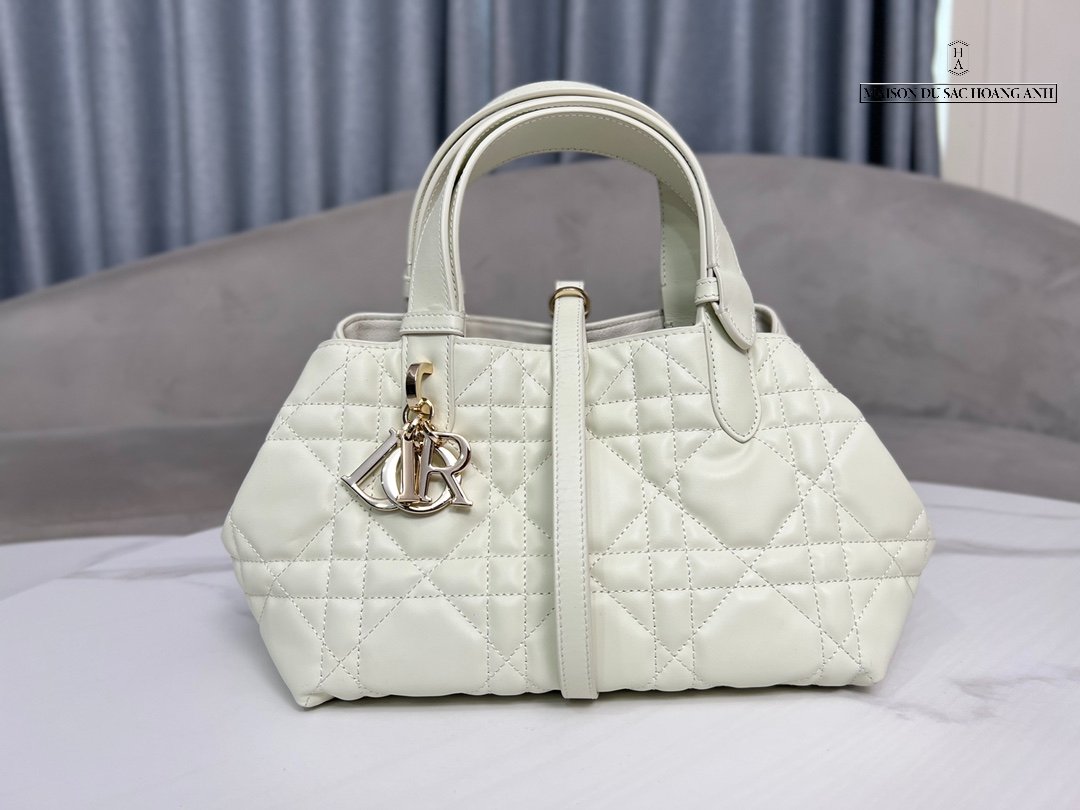 Túi Dior Toujours Bag