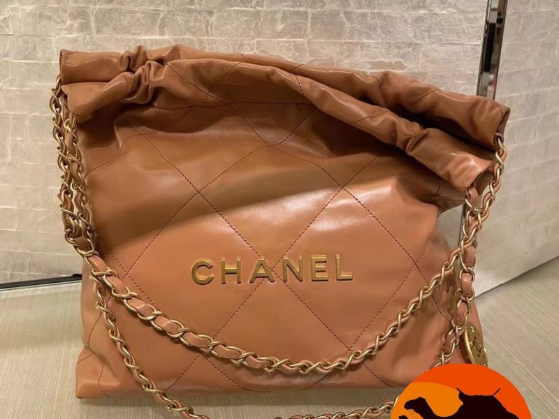 Túi cha…nel 22 handbag