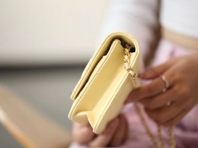 Chanel Wallet On Chain Bag